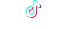 Tiktok Agency Partner